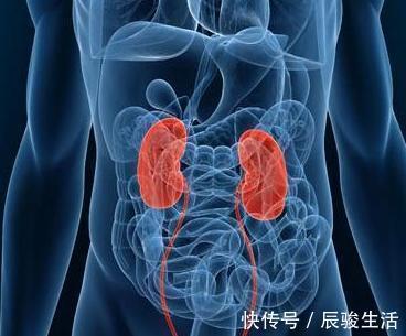 茯苓饼|老人说“一两茯苓,一两金”到底有啥好处养心安神、提高免疫力