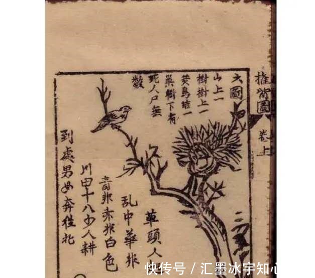 奇书|家有一本奇书实在看不懂