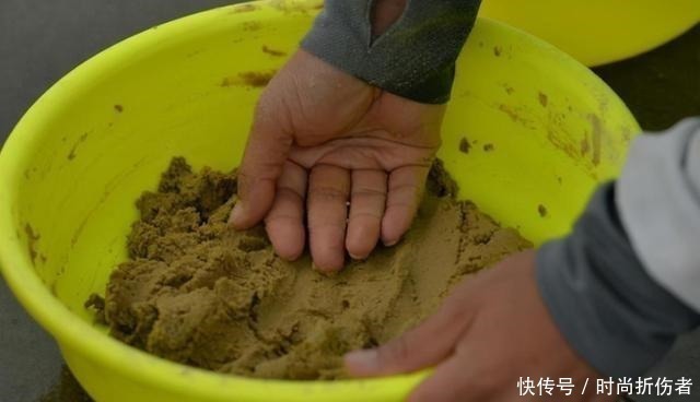 鲫鱼|不是跟你吹,大鲤鱼一见这饵就狂咬,莫忽视,十有八九你不知