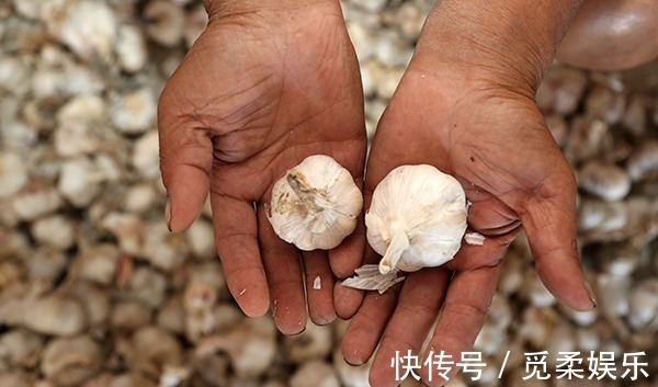羊肉|大蒜和“它”是黄金搭档，泡水放一点，提升“战斗”能力