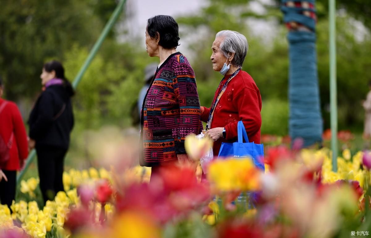 植物园姹紫嫣红是老人聚会的好地方【严建设】