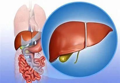 日常生活中的5个表现，要注意，可能是肝脏给你发出的求救信号