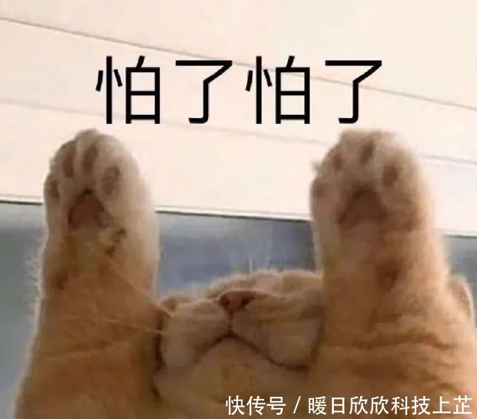 霸榜热搜，3天圈粉千万：这才是真顶流！
