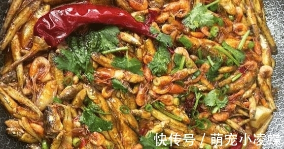 食材|这食材吃大不如吃小,多买些洗净整个放锅中一炖,鲜香入味还补钙