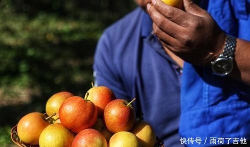 尝尝|来自辽宁的5大特产美食,若工资允许,建议大家每样都尝尝