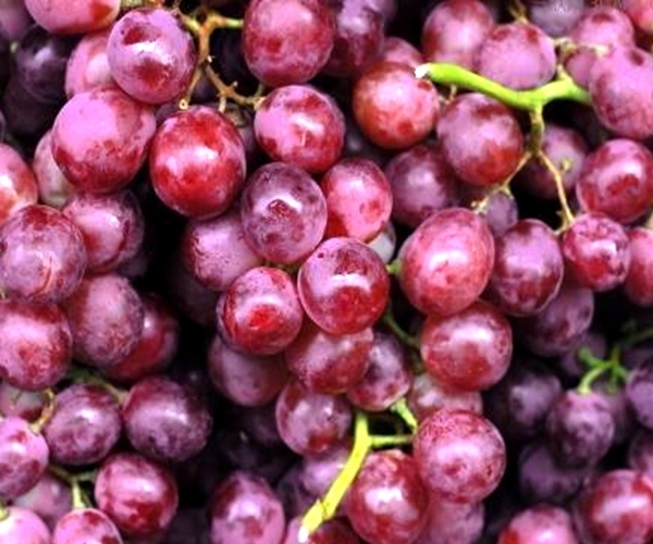 葡萄|肝不好的人，平时敞开肚皮吃4物，养肝排毒，远离肝脏疾病！