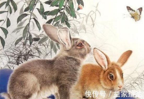 中年危机|兔兔兔喜报喜报属兔人“大喜临门”你是不是傻,天喜来了接