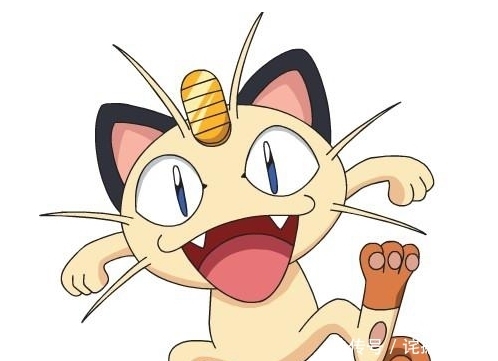 秘密|神奇宝贝:火箭队中,那些你不知道的秘密