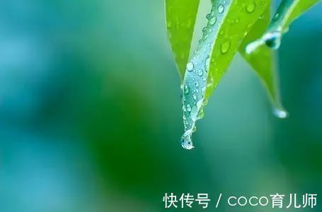 小方|如何判断自己有湿气？医生：留意日常5表现，一祛湿小方很少人懂