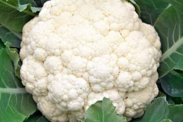 花椰菜|有三种蔬菜寄生虫最多,大多数人还在吃,你中招了吗