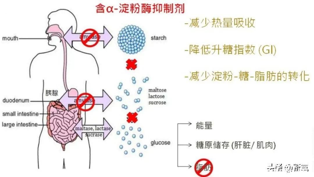 安利|“便秘神药”小粉丸，真的能治便秘、减肥吗？