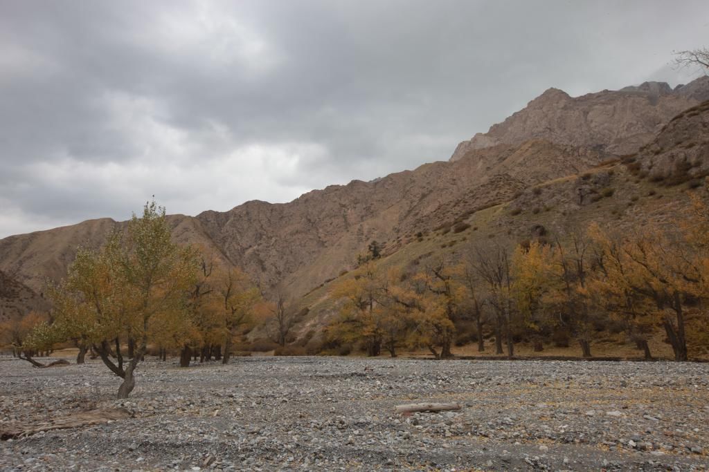罗什|千古一僧鸠摩罗什圆寂纪念日直到今天我们仍然怀念他