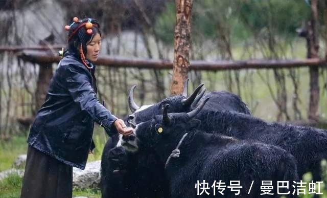 旅行|「多瀑沟」一场净化心灵的旅行