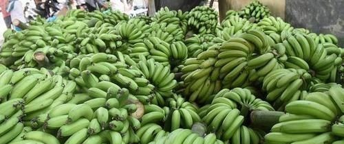 便秘|肠道“推粪机”公布了，并不是香蕉，便秘时吃点，排出宿便更健康