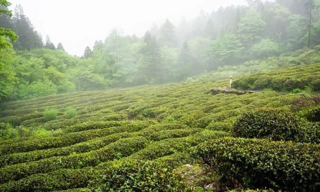 五老峰|江西有座山，奇秀甲天下 ，自古让人向往