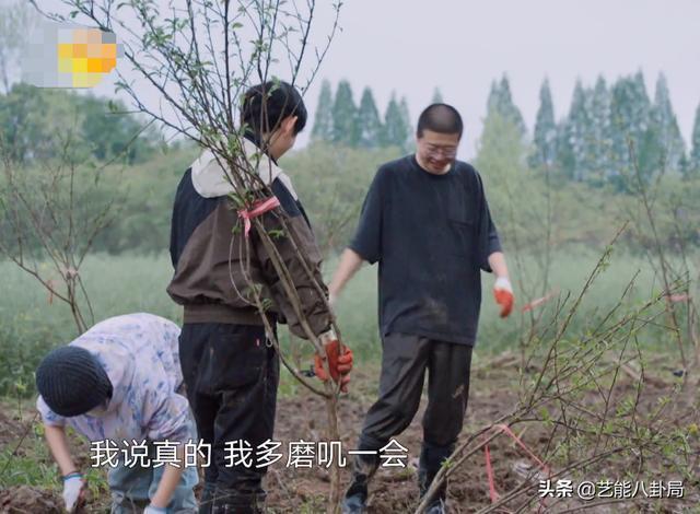 李诞|《向往的生活5》出现最烦人嘉宾,何炅不留情面,黄磊难掩嫌弃