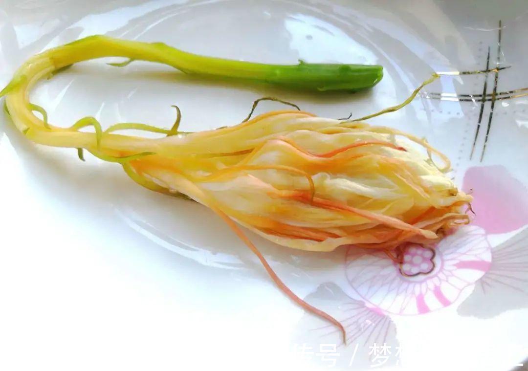 养到烦人的花,盆都不够用,扔掉还很心疼