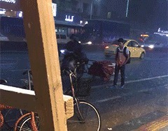 |搞笑GIF:表妹担心有人偷竹子,她每天一个人去后山点数!