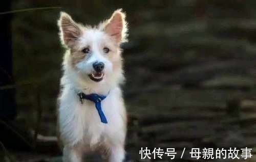 产妇|俗话说，有福之人春秋生，无福之人夏冬生，你听说过吗