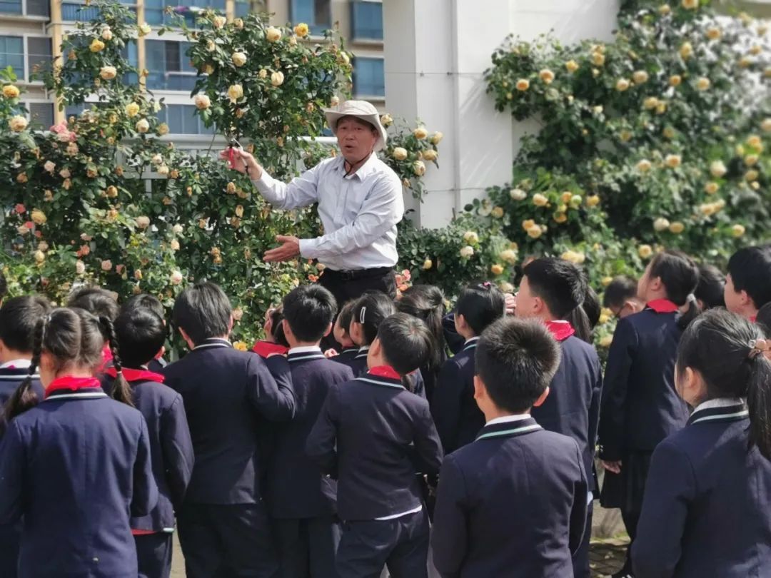 课程|全城招募！一起来“花式带娃”