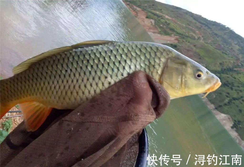 外出钓鱼怎么找鱼窝，水里哪里鱼最多？不靠水草就找坡