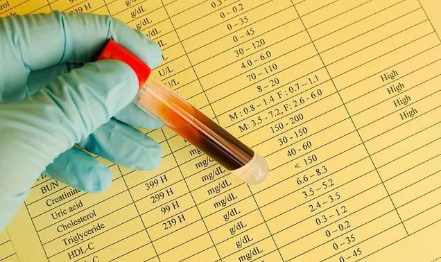 动脉斑块可怕吗?心血管医生告诉你真相!