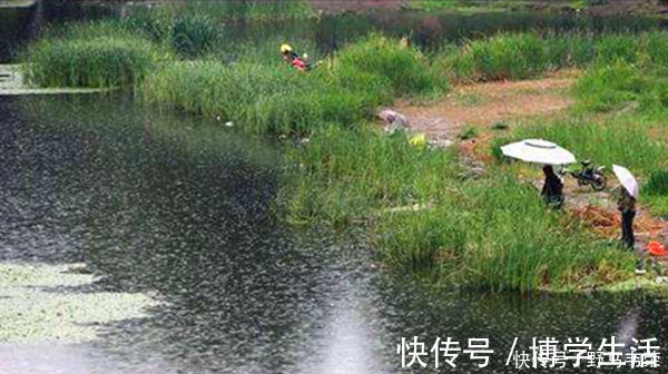 套路|小暑过后钓鱼，5钓5不钓，常用这些老套路，上鱼更多