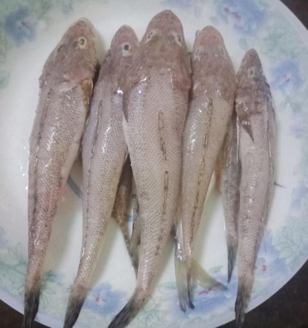 鳕鱼|天然“补脑菜”找到了,孩子多吃,提高记忆力,学习考试都轻松