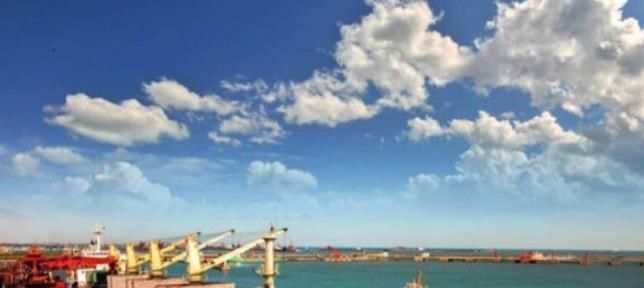 带来|中国停止进口，越南一点不慌还带来“反向操作”，这回翻车了？