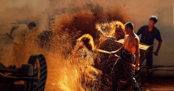 尴尬|中国有一样“尴尬酒”,国内人喝不起,外国人成箱拿,讽刺