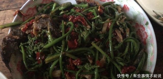 吃过山上的蕨菜,那你见长在水里的蕨菜吗