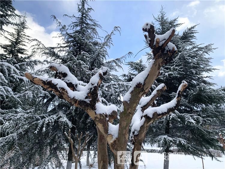 烟台市牟平区沁水河公园雪景美如画|图集| 牟平区