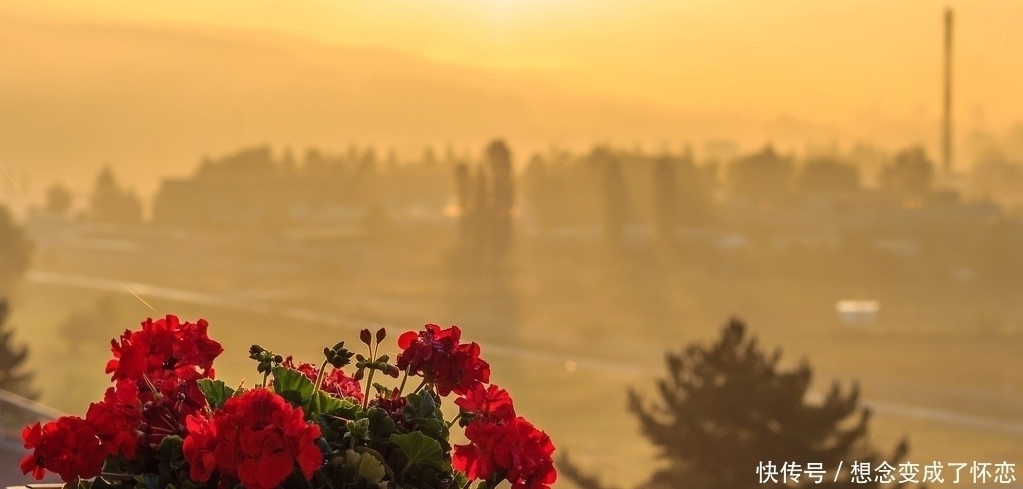 购房者|买房应选“一期房”,两个好处会让你受益