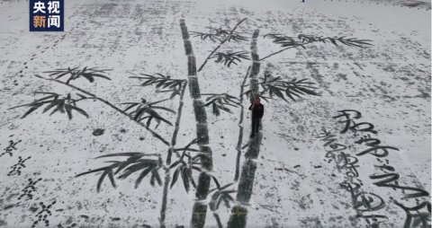  小学|陕西小学美术老师雪地中扫出巨幅雪竹图，网友：这就是“胸有成竹“吧