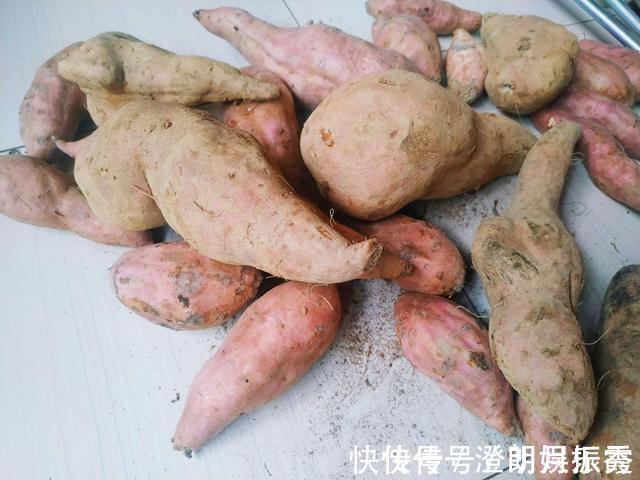 父亲|保存红薯,70岁的父亲教我1个土方法,红薯经久耐放,越放越甜