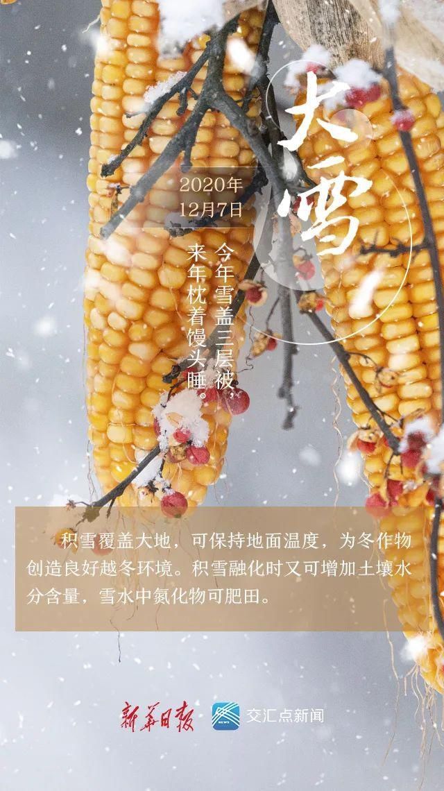  仲冬|大雪至，仲冬始！你那里下雪了吗？