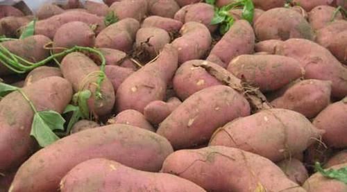 嘴唇总是干裂没亮泽？不只是缺水，还跟缺乏一种营养素有关