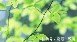 在乎|喜欢自我孤立，自己独处，不太在乎他人，朋友很少的星座