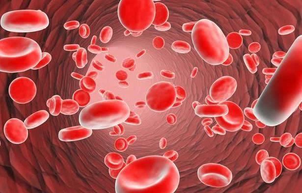  别嫌它丑, 却是长寿的“好帮手”, 每天吃一点, 血管干净少生病