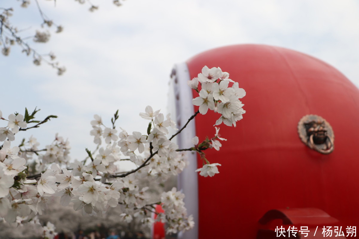 爱情|配对测试爱情失恋时怎样