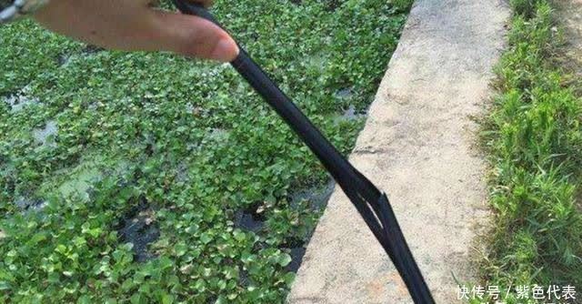 怎么正确使用鱼竿?以下3个地方最易犯错,特别是新手,有你吗?