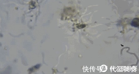 阿姨|一位80后阿姨的忠告：家里这5样东西迟早会被时代淘汰，该换就换
