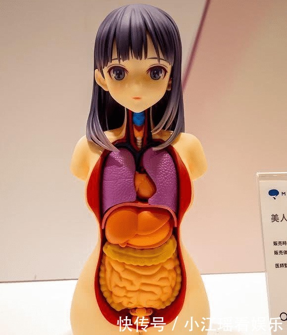 人体模型|日本人体手办出炉，国内网友纷纷无语：这也太逼真了吧！