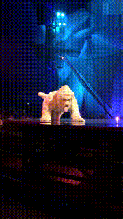 |搞笑GIF段子:这哥们拿玩具枪打劫失败了,拿这玩意来骗姐姐,没门!