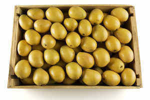 火龙果|66岁大妈糖尿病离世,烟酒不沾,医生:一把年纪,1习惯早该控制