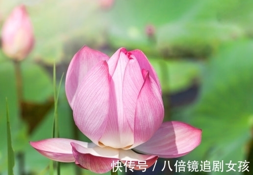 出纳官|9月中旬，吉星当头，4属相喜鹊窗前叫，桃花八方来，日子美好