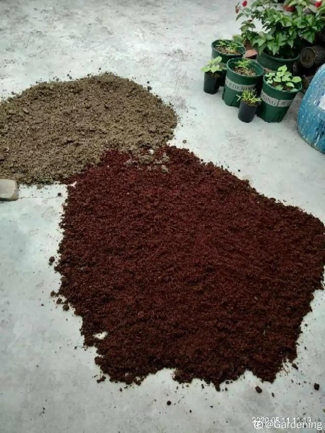 夏天养花,这3种事千万别做,否则黄叶又烂根