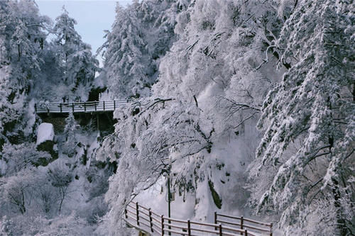 老君山|美炸了! 仿若天上宫阙, 雪后老君山雾凇云海, 琼楼玉宇美成仙境