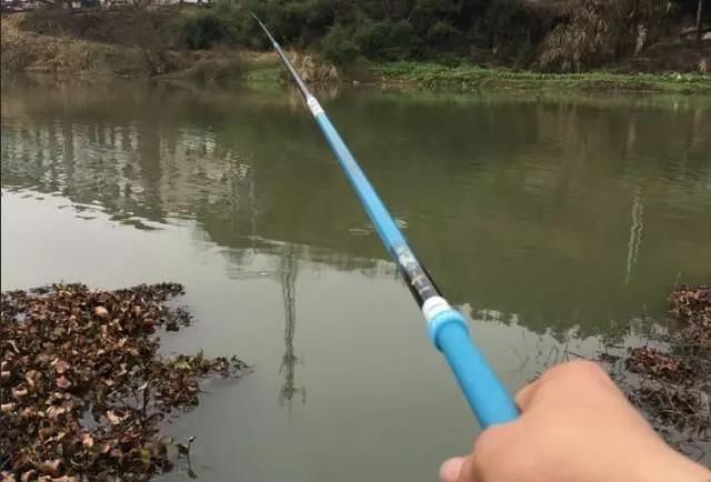 天冷钓鱼要多“逗”,鲫鱼经不起这诱惑,逗两下准咬钩