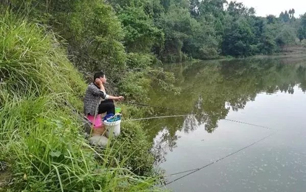 钓友|不管用软竿还是硬竿，下竿前考虑“3点”，否则白钓了20多年鱼